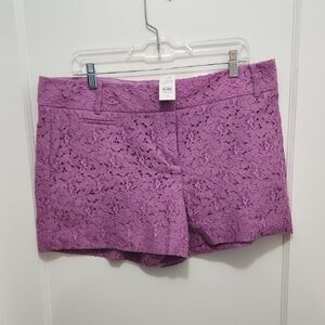 NWT Loft Marisa Garden Lace Purple Shorts Size 14